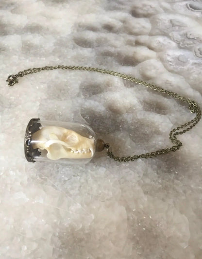 Bat skull Bell Jar Necklace