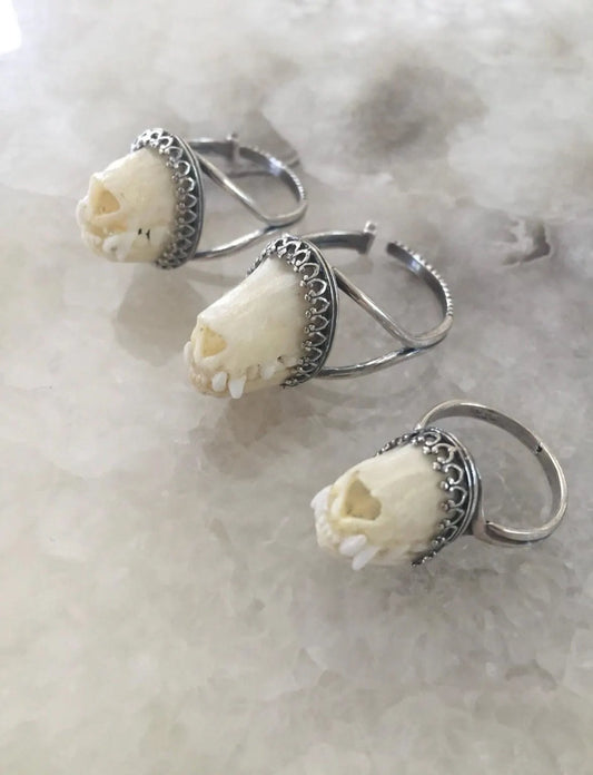 Charivari Bat Snout Ring