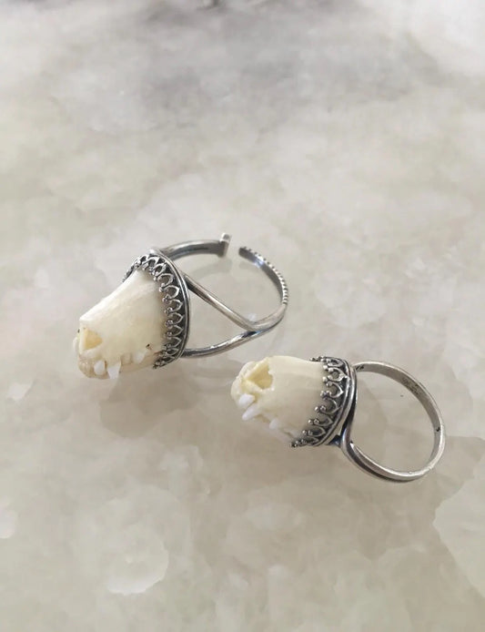 Charivari Bat Snout Ring