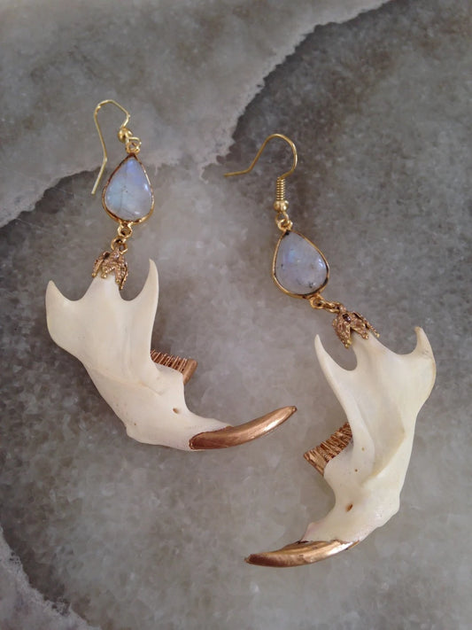 Sliced Quartz Muskrat Jaw Earrings