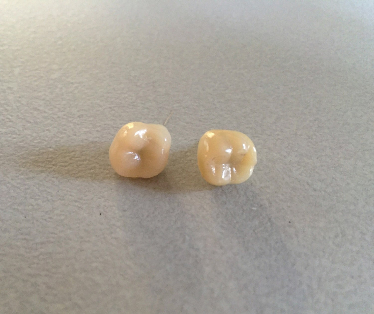 Human Tooth Stud Earrings