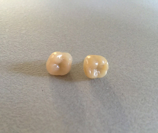 Human Tooth Stud Earrings