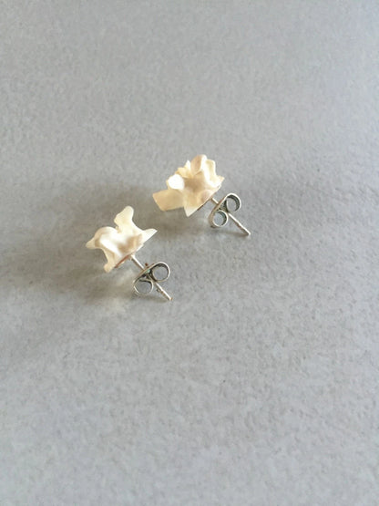 Boa Vertebrae stud earrings
