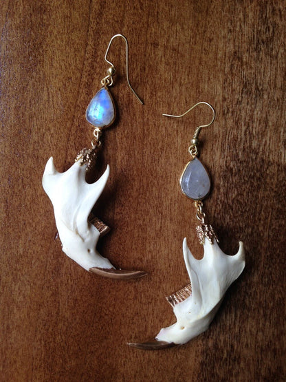 Sliced Quartz Muskrat Jaw Earrings